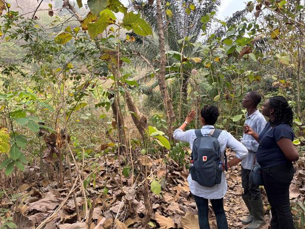 Forest walks with community members